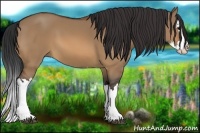 Horse Color:Bay Dun Splash 