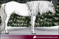 Horse Color:Liver Chestnut Ice Blanket  and Chocolate Palomino Ice Pearl Splash Varnish 