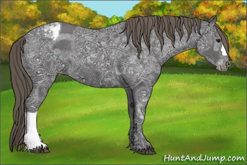 Horse Color:Smoky Black Ice Appaloosa Rabicano