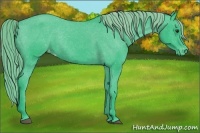 Horse Color:Watercolor Black Chinchilla Varnish Rabicano 
