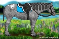 Horse Color:Black Ice Varnish Rabicano 