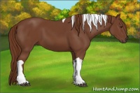 Horse Color:Chestnut Tobiano