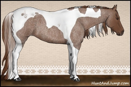 Horse Color:Red Roan Tobiano 