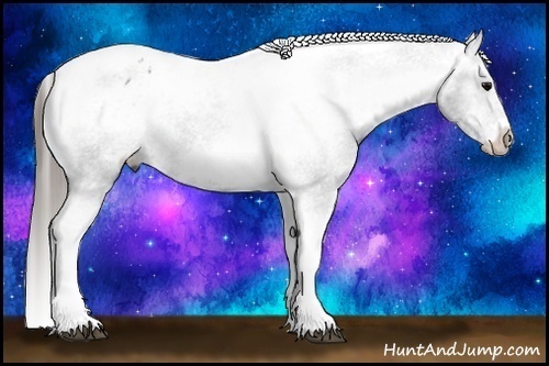 Horse Color:White Spotted Black Splash Tobiano Frame Appaloosa 