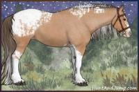 Horse Color:Bay Splash Tobiano Appaloosa  and Bay Splash Tobiano Appaloosa 