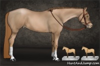Horse Color:Liver Chestnut Pearl