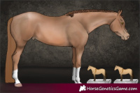 Horse Color:Liver Chestnut Pearl