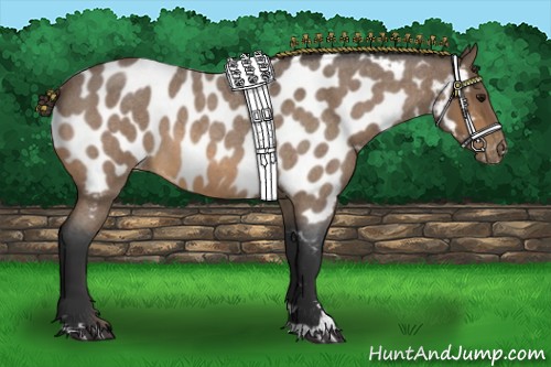 Horse Color:Buckskin Roan Sabino Near Leopard