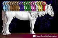 Horse Color:Chocolate Grullo Chinchilla Sabino Brindle 