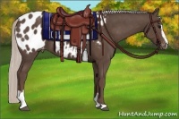 Horse Color:Silver Black Sabino Appaloosa 
