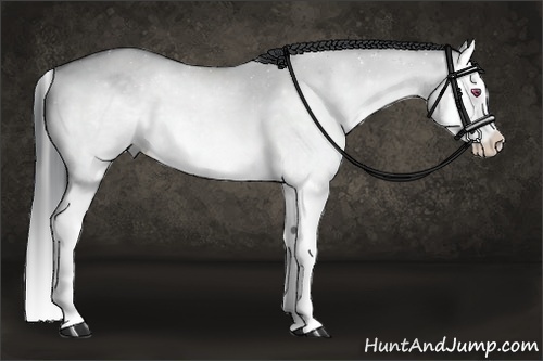 Horse Color:Bay Chinchilla Dun Splash 