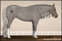 Horse Color:Silver Blue Roan 
