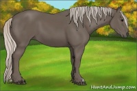 Horse Color:Silver Black 