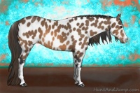 Horse Color:White Spotted Buckskin Leopard 