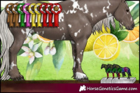 Horse Color:White Spotted Silver Black