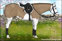 Horse Color:Liver Red Dun Splash