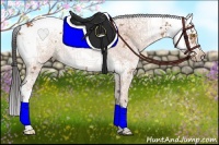 Horse Color:Bay Sabino 