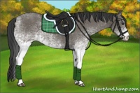 Horse Color:White Spotted Smoky Grullo