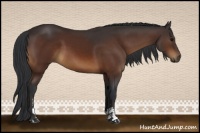 Horse Color:Brown Sabino