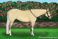 Horse Color:Silver Buckskin Dun Tobiano 