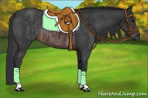 Horse Color:Brown Rabicano  and Brown Rabicano 