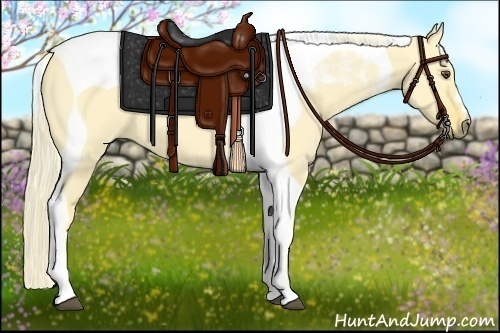 Horse Color:Palomino Dun Tobiano 