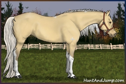 Horse Color:Silver Buckskin Dun Tobiano 
