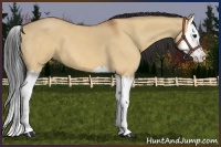 Horse Color:Bay Dun Splash 