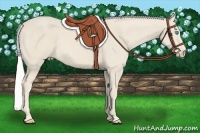 Horse Color:Silver Smoky Creme Rabicano 