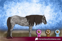 Horse Color:Liver Chestnut Ice 
