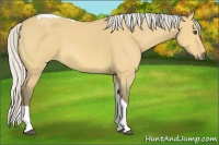 Horse Color:Silver Buckskin Dun Tobiano 