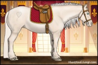 Horse Color:Gold Cream Champagne Pearl