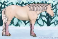Horse Color:Watercolor Silver Buckskin Pearl Dun