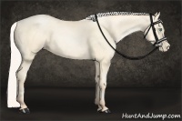 Horse Color:Silver Amber Cream Champagne Pearl 