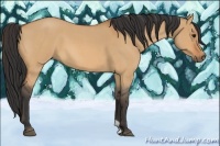 Horse Color:Bay Roan Dun 