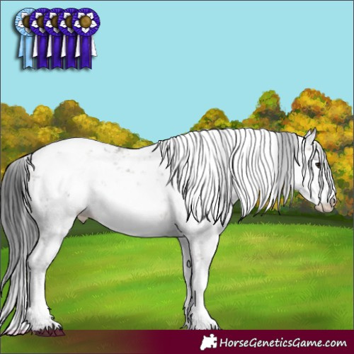 Horse Color:Brown Dun Sabino Brindle 