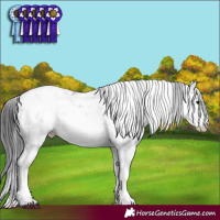 Horse Color:Brown Dun Sabino Brindle 