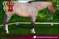 Horse Color:Bay Roan Tobiano Rabicano