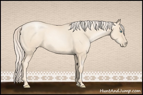Horse Color:Gold Cream Champagne Pearl 