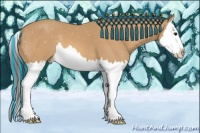 Horse Color:Painted Buckskin Splash