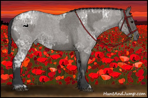 Horse Color:Grullo Roan Rabicano and Grullo Ice Roan