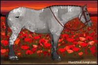 Horse Color:Grullo Roan Rabicano and Grullo Ice Roan