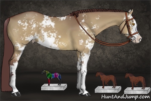 Horse Color:Chocolate Bay Dun Sabino 