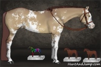 Horse Color:Chocolate Bay Dun Sabino 