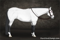 Horse Color:Bay Chinchilla 