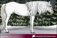 Horse Color:Liver Chestnut Ice Sabino Appaloosa  and Chocolate Palomino Ice Pearl Sabino Splash Appaloosa 