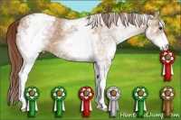 Horse Color:White Spotted Red Dun Appaloosa 