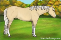 Horse Color:Silver Buckskin Dun Rabicano