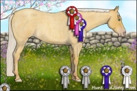 Horse Color:Silver Sable Cream Champagne Roan Rabicano 