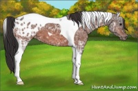 Horse Color:Brown Ice Tobiano Varnish 